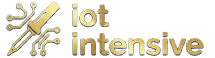 IoT Intensive